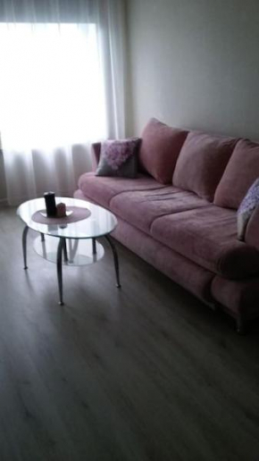 Spacious 1bedroom apartment, w free parking, w pet